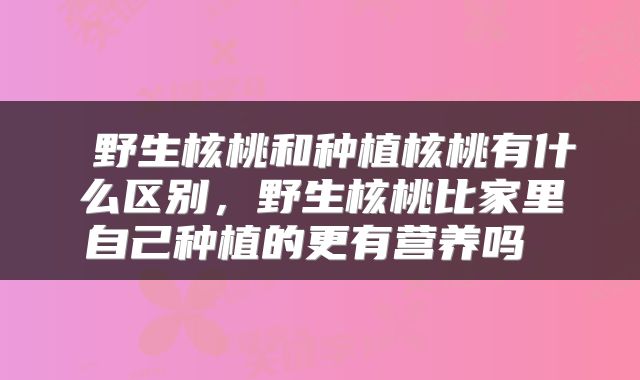  野生核桃和种植核桃有什么区别，野生核桃比家里自己种植的更有营养吗 