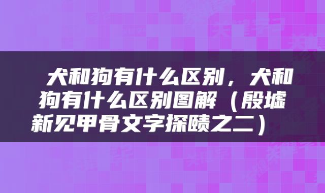  犬和狗有什么区别，犬和狗有什么区别图解（殷墟新见甲骨文字探赜之二） 