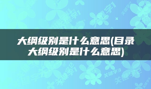 大纲级别是什么意思(目录大纲级别是什么意思)
