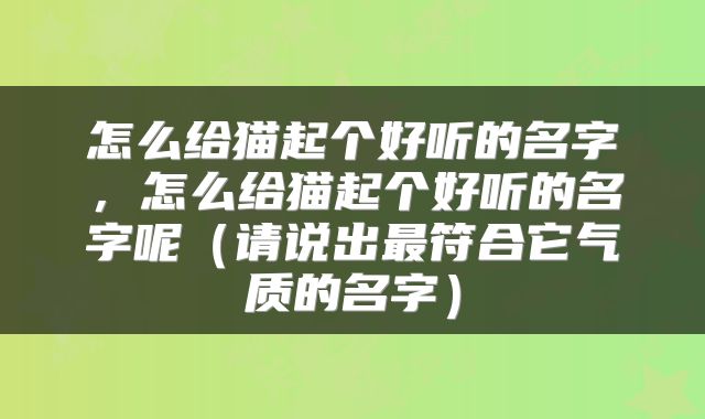 怎么给猫起个好听的名字，怎么给猫起个好听的名字呢（请说出最符合它气质的名字）
