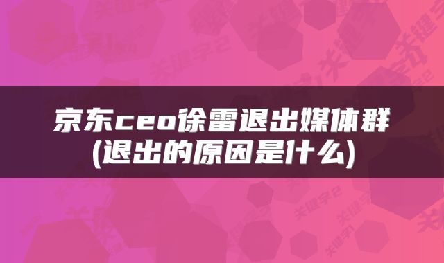 京东ceo徐雷退出媒体群(退出的原因是什么)