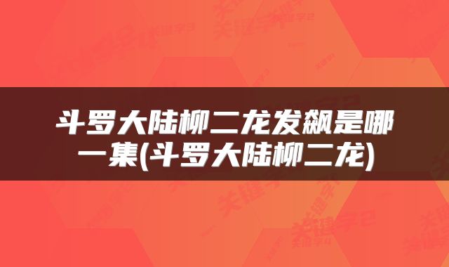 斗罗大陆柳二龙发飙是哪一集(斗罗大陆柳二龙)