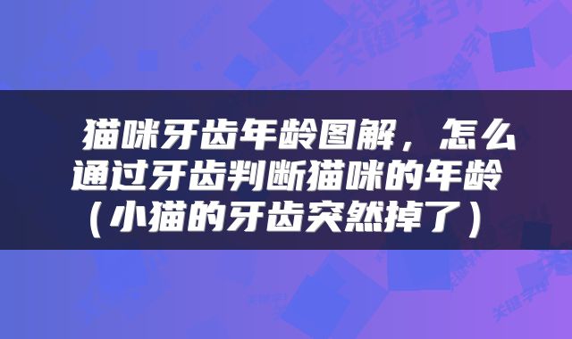 猫咪牙齿年龄图解,怎么通过牙齿判断猫咪的年龄(小猫的牙齿突然掉了)