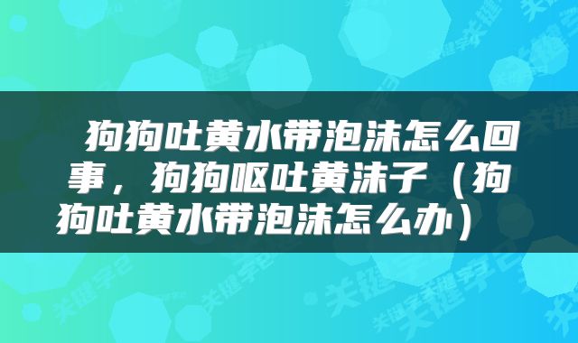  狗狗吐黄水带泡沫怎么回事，狗狗呕吐黄沫子（狗狗吐黄水带泡沫怎么办） 
