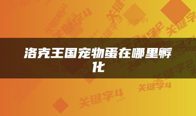 洛克王国宠物蛋在哪里孵化