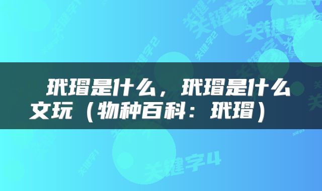  玳瑁是什么，玳瑁是什么文玩（物种百科：玳瑁） 
