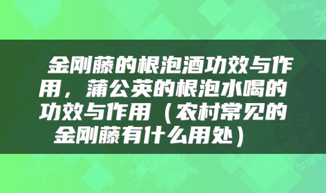  金刚藤的根泡酒功效与作用，蒲公英的根泡水喝的功效与作用（农村常见的金刚藤有什么用处） 