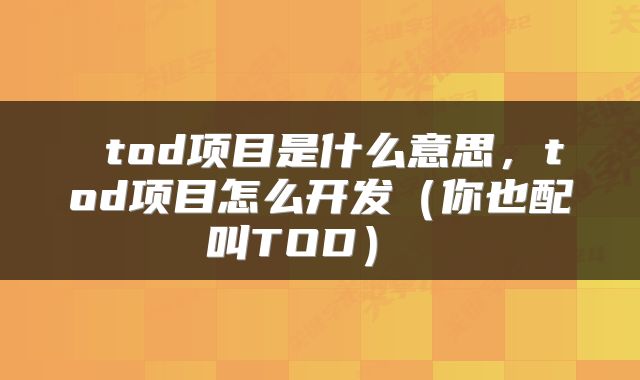  tod项目是什么意思，tod项目怎么开发（你也配叫TOD） 