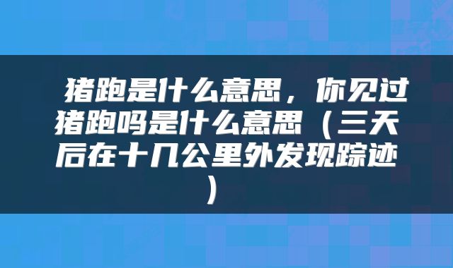 猪跑是什么意思,你见过猪跑吗是什么意思(三天后在十几公里外发现踪迹)