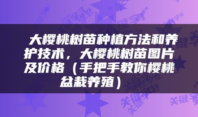  大樱桃树苗种植方法和养护技术，大樱桃树苗图片及价格（手把手教你樱桃盆栽养殖） 