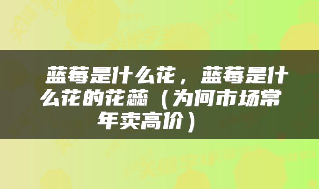  蓝莓是什么花，蓝莓是什么花的花蕊（为何市场常年卖高价） 
