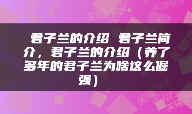  君子兰的介绍 君子兰简介，君子兰的介绍（养了多年的君子兰为啥这么倔强） 