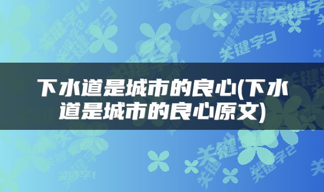 下水道是城市的良心(下水道是城市的良心原文)