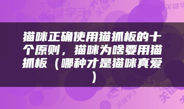 猫咪正确使用猫抓板的十个原则，猫咪为啥要用猫抓板（哪种才是猫咪真爱）