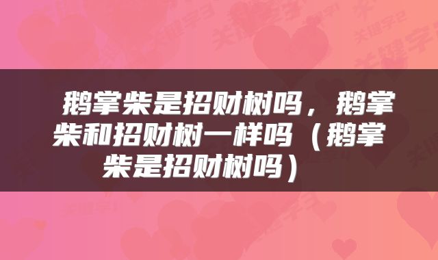  鹅掌柴是招财树吗，鹅掌柴和招财树一样吗（鹅掌柴是招财树吗） 