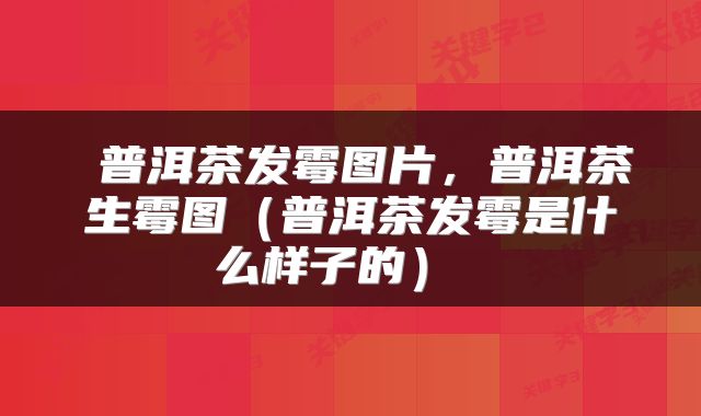  普洱茶发霉图片，普洱茶生霉图（普洱茶发霉是什么样子的） 