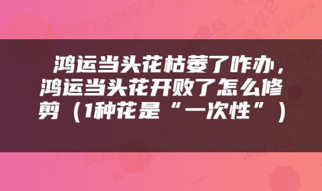  鸿运当头花枯萎了咋办，鸿运当头花开败了怎么修剪（1种花是“一次性”） 