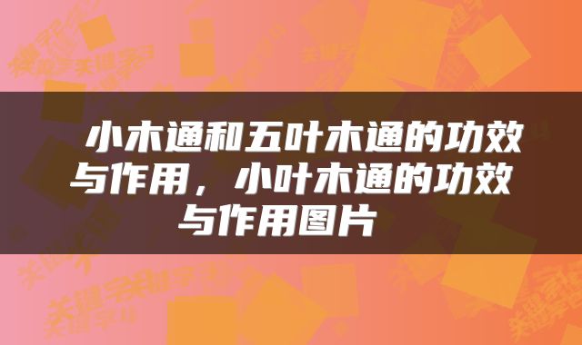 小木通和五叶木通的功效与作用，小叶木通的功效与作用图片 