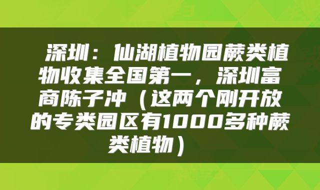  深圳：仙湖植物园蕨类植物收集全国第一，深圳富商陈子冲（这两个刚开放的专类园区有1000多种蕨类植物） 