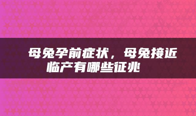 母兔孕前症状,母兔接近临产有哪些征兆