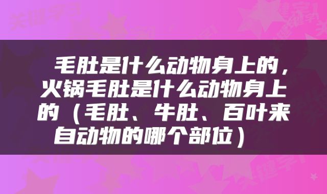  毛肚是什么动物身上的，火锅毛肚是什么动物身上的（毛肚、牛肚、百叶来自动物的哪个部位） 