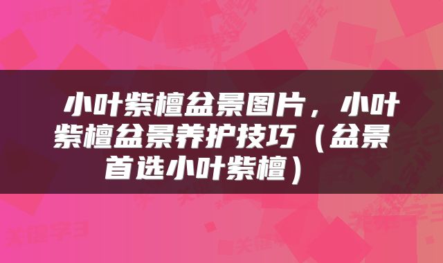  小叶紫檀盆景图片，小叶紫檀盆景养护技巧（盆景首选小叶紫檀） 