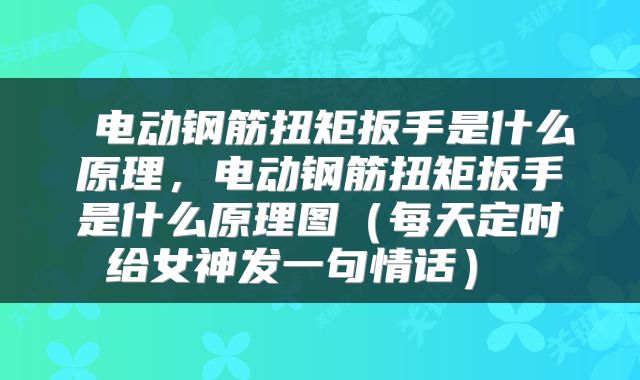  电动钢筋扭矩扳手是什么原理，电动钢筋扭矩扳手是什么原理图（每天定时给女神发一句情话） 