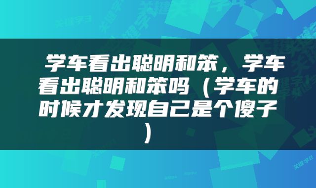  学车看出聪明和笨，学车看出聪明和笨吗（学车的时候才发现自己是个傻子） 