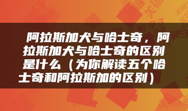阿拉斯加犬与哈士奇,阿拉斯加犬与哈士奇的区别是什么(为你解读五个哈士奇和阿拉斯加的区别)