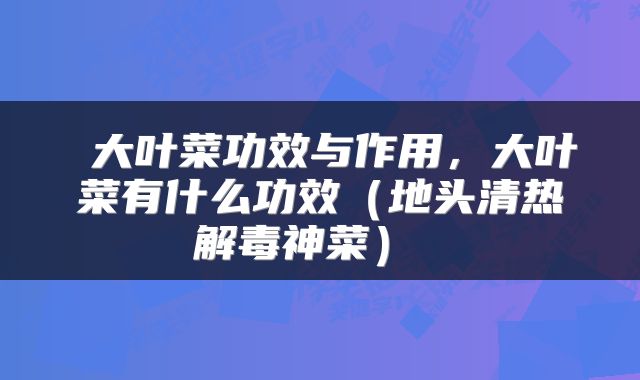  大叶菜功效与作用，大叶菜有什么功效（地头清热解毒神菜） 