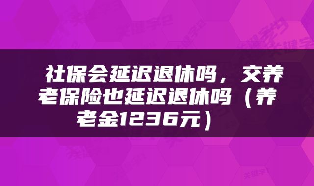 社保会延迟退休吗,交养老保险也延迟退休吗(养老金1236元)
