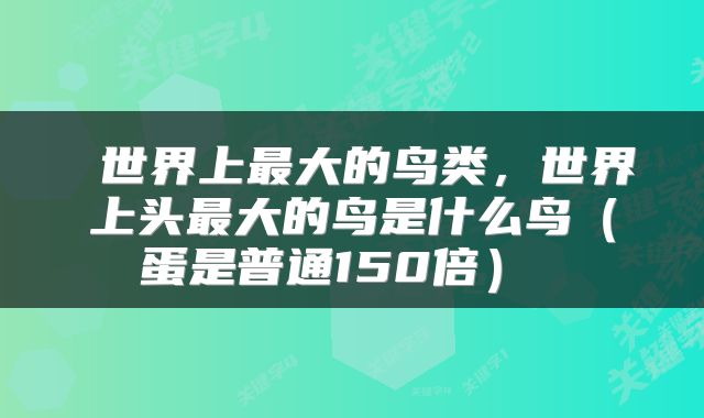  世界上最大的鸟类，世界上头最大的鸟是什么鸟（蛋是普通150倍） 