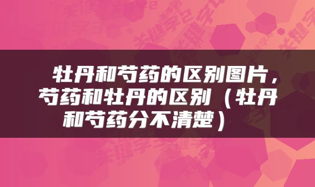 牡丹和芍药的区别图片,芍药和牡丹的区别(牡丹和芍药分不清楚)