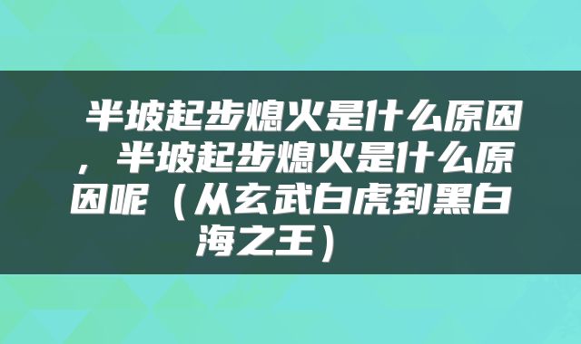  半坡起步熄火是什么原因，半坡起步熄火是什么原因呢（从玄武白虎到黑白海之王） 