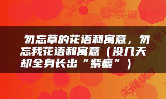 勿忘草的花语和寓意，勿忘我花语和寓意（没几天却全身长出“紫癜”） 