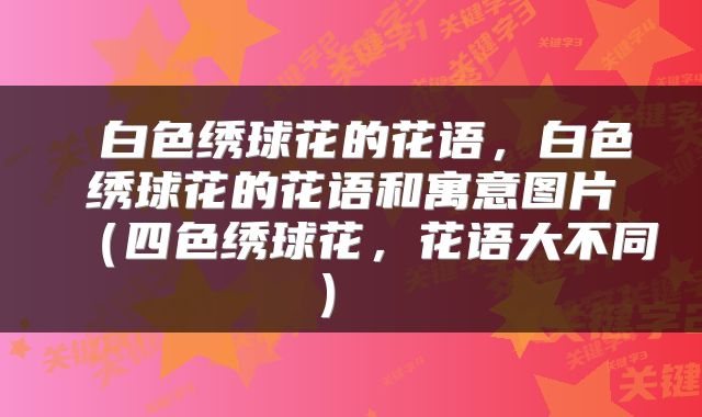 白色绣球花的花语,白色绣球花的花语和寓意图片(四色绣球花,花语大不同)