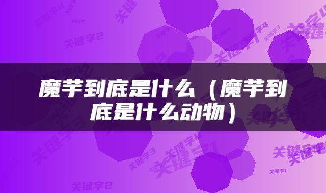 魔芋到底是什么(魔芋到底是什么动物)