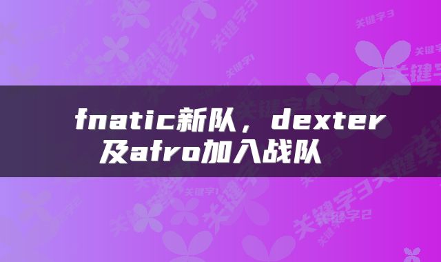 fnatic新队,dexter及afro加入战队