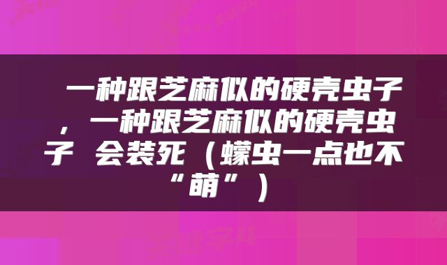 一种跟芝麻似的硬壳虫子,一种跟芝麻似的硬壳虫子 会装死(蠓虫一点也不“萌”)