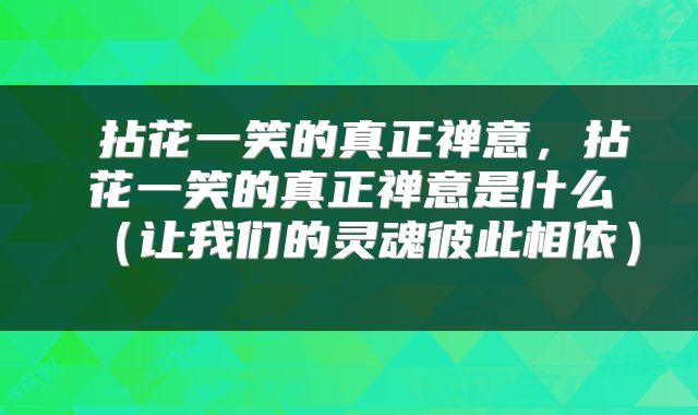 拈花一笑的真正禅意,拈花一笑的真正禅意是什么(让我们的灵魂彼此相依)