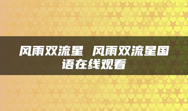 风雨双流星 风雨双流星国语在线观看