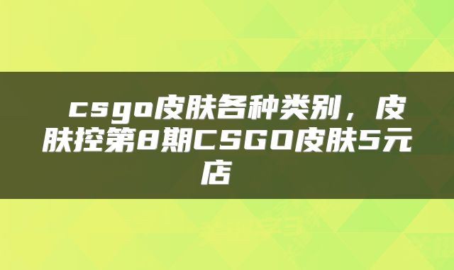 csgo皮肤各种类别,皮肤控第8期CSGO皮肤5元店