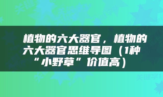 植物的六大器官,植物的六大器官思维导图(1种“小野草”价值高)