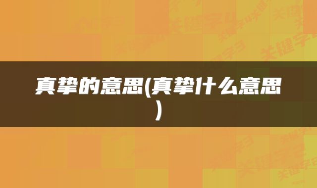 真挚的意思(真挚什么意思)