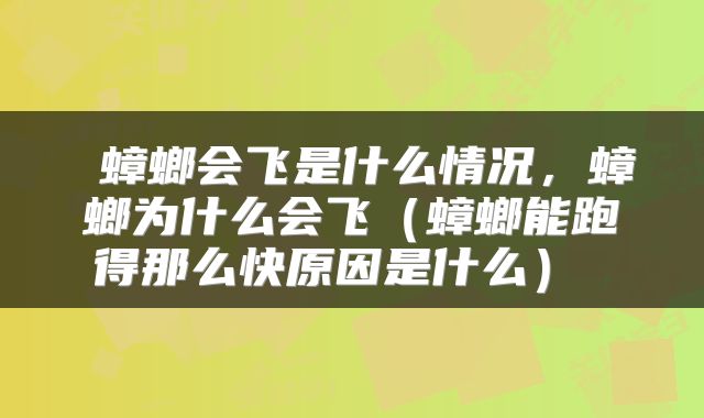 蟑螂会飞是什么情况,蟑螂为什么会飞(蟑螂能跑得那么快原因是什么)