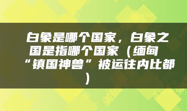 白象是哪个国家,白象之国是指哪个国家(缅甸“镇国神兽”被运往内比都)