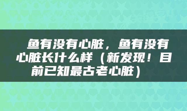 鱼有没有心脏,鱼有没有心脏长什么样(新发现!目前已知最古老心脏)