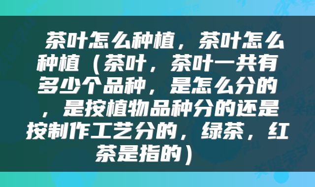 茶叶怎么种植,茶叶怎么种植(茶叶,茶叶一共有多少个品种,是怎么分的,是按植物品种分的还是按制作工艺分的,绿茶,红茶是指的)