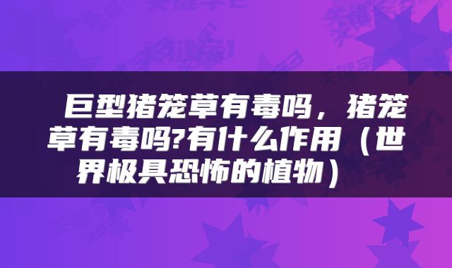 巨型猪笼草有毒吗,猪笼草有毒吗?有什么作用(世界极具恐怖的植物)