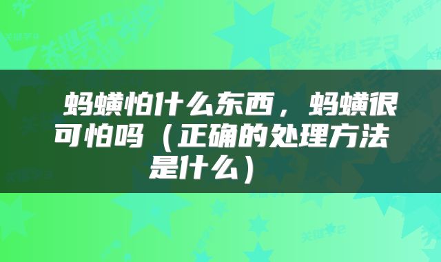 蚂蟥怕什么东西,蚂蟥很可怕吗(正确的处理方法是什么)
